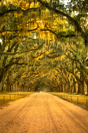 GettyImages-1226479901